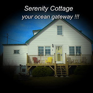 Serenity Cottages